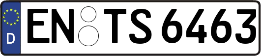 EN-TS6463