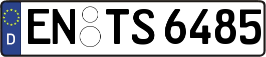 EN-TS6485