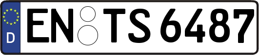 EN-TS6487