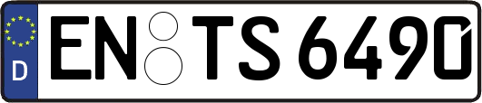 EN-TS6490