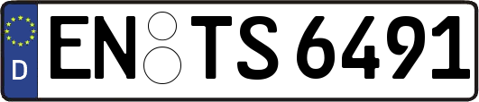 EN-TS6491