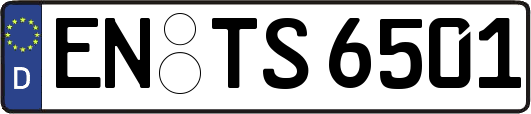 EN-TS6501