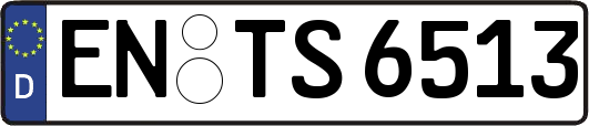EN-TS6513