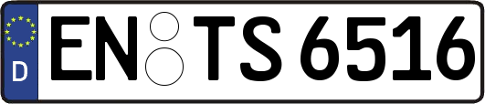 EN-TS6516