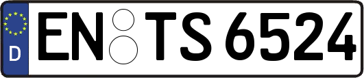 EN-TS6524