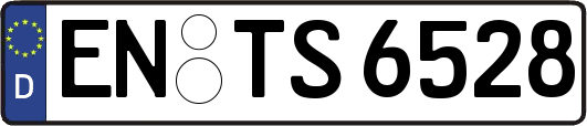 EN-TS6528
