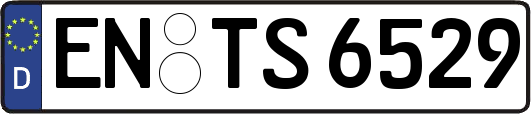 EN-TS6529