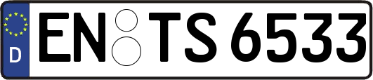 EN-TS6533