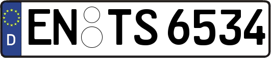 EN-TS6534