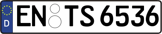 EN-TS6536