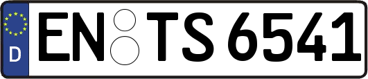 EN-TS6541