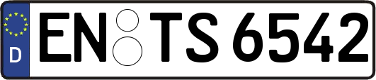 EN-TS6542