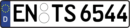 EN-TS6544