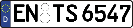 EN-TS6547