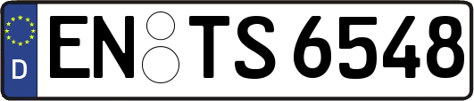 EN-TS6548
