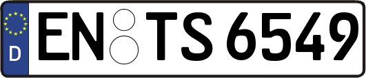 EN-TS6549