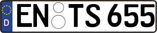 EN-TS655