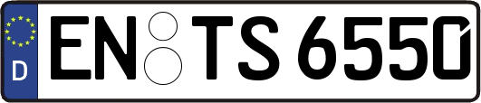 EN-TS6550