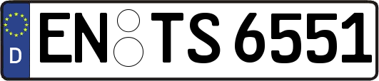 EN-TS6551