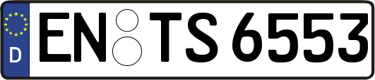 EN-TS6553