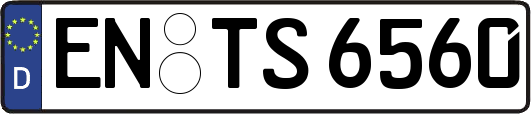 EN-TS6560