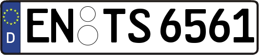 EN-TS6561