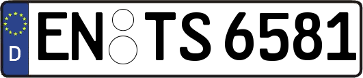 EN-TS6581