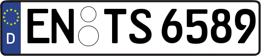 EN-TS6589