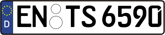 EN-TS6590