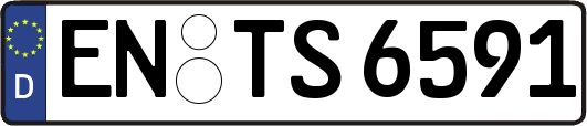 EN-TS6591