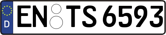 EN-TS6593
