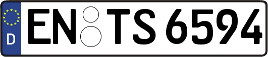 EN-TS6594
