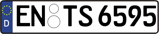 EN-TS6595