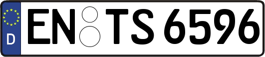 EN-TS6596