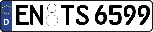 EN-TS6599
