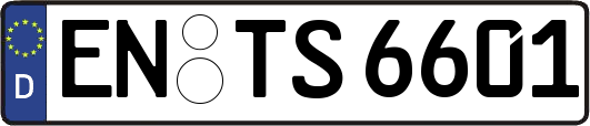 EN-TS6601
