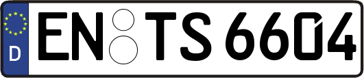 EN-TS6604