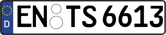 EN-TS6613