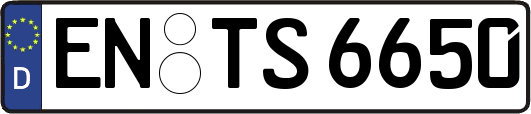 EN-TS6650