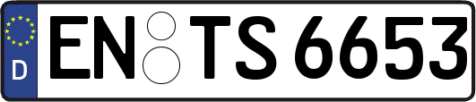 EN-TS6653