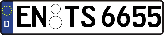 EN-TS6655
