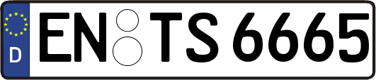EN-TS6665