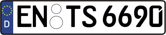 EN-TS6690
