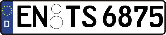 EN-TS6875