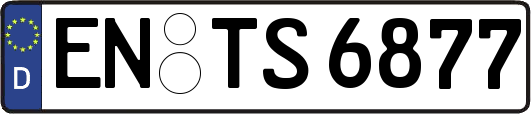 EN-TS6877