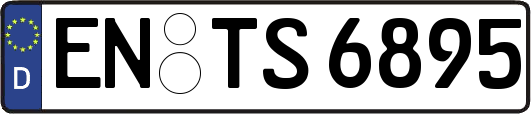 EN-TS6895