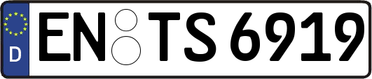 EN-TS6919