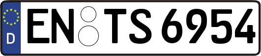 EN-TS6954