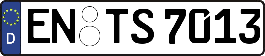 EN-TS7013