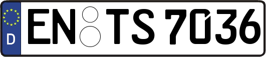 EN-TS7036